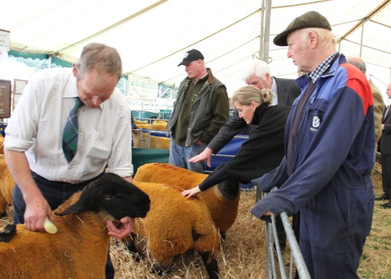 The Duchess of Edinburgh, previously known as the Countess of Wessex, views a pen of Suffolk rams from Jimmy Douglas, of Woodhead of Cairness, Fraserburgh, at Kelso Ram Sales in 2013.