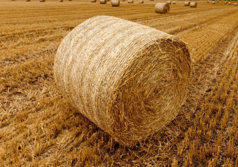 straw bale