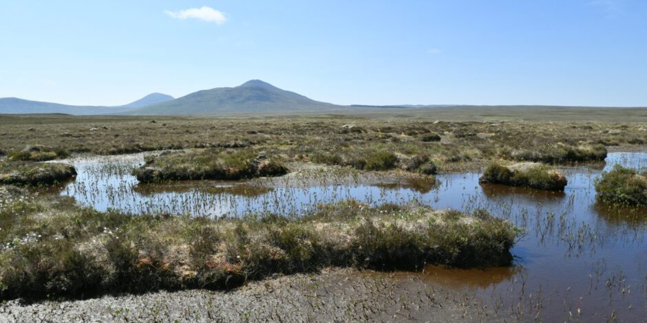 Forsinard,Flows peatland bog in Scotland