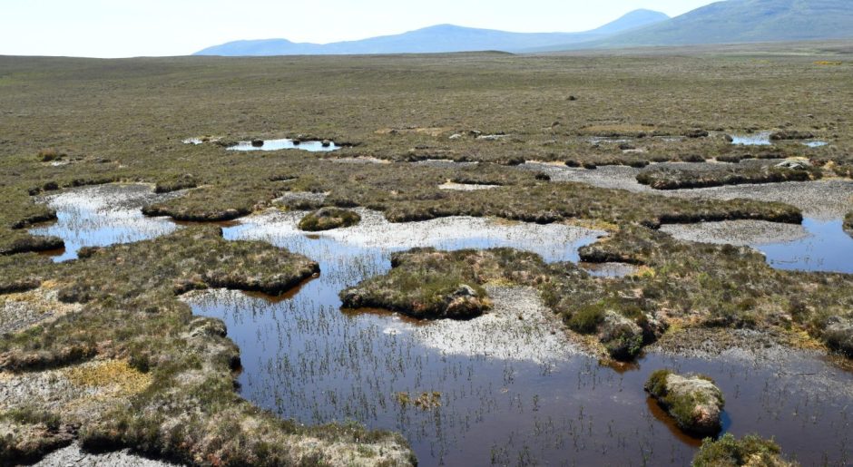 Forsinard Flows peatland blanket bog in Scotland