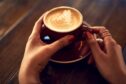 woman's hands holding a latte