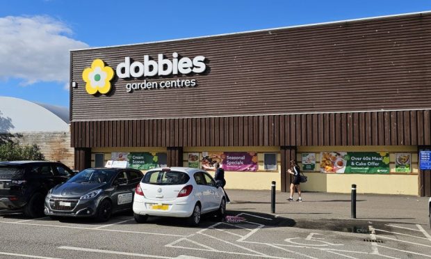 Dobbies garden centre building with cars parked down the side.