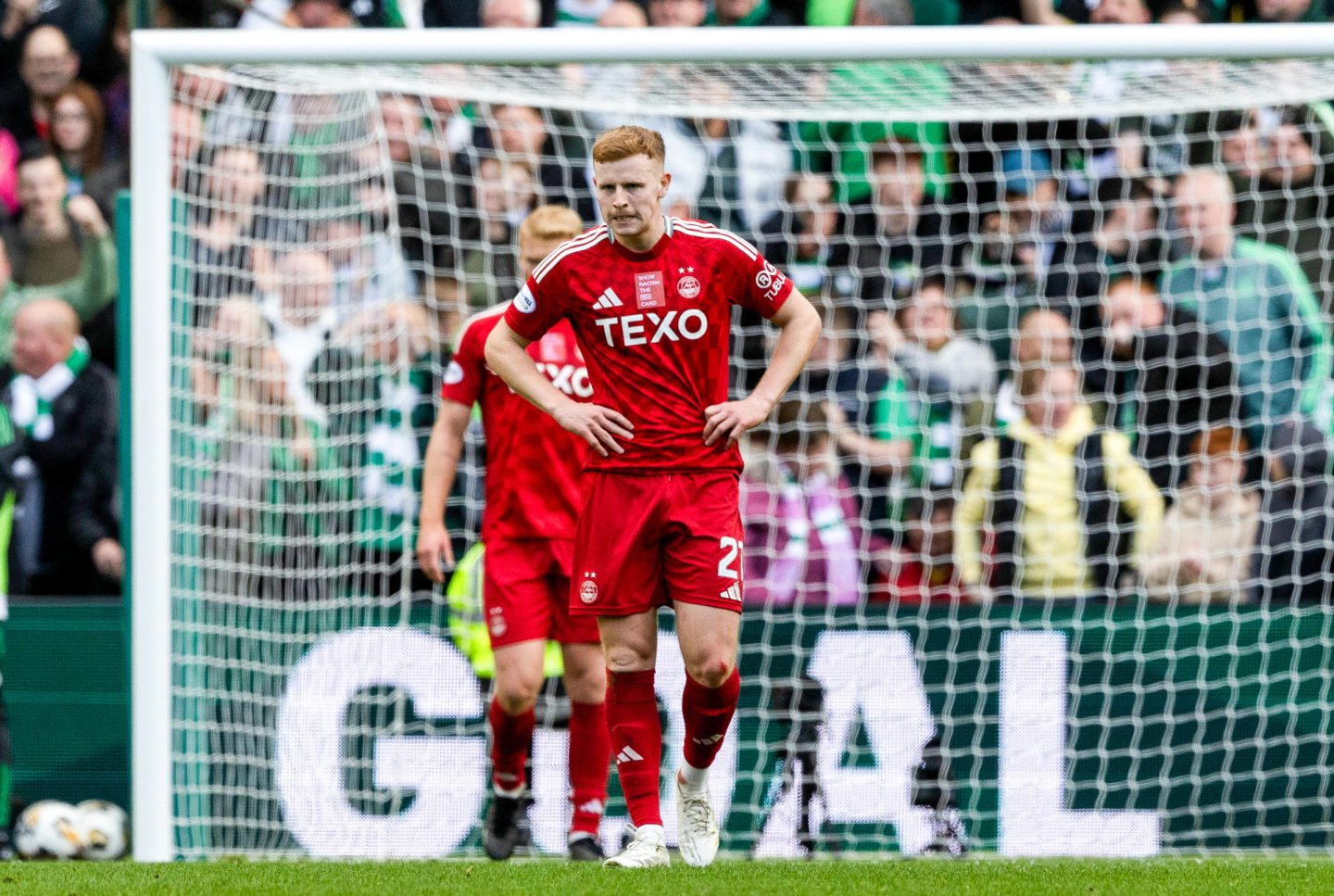 Aberdeen's Gavin Molloy during the 2-2 Premiership draw with Celtic at Parkhead. Image: SNS 