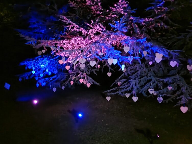 Memory tree with ribbon display lit up in pink and blue 