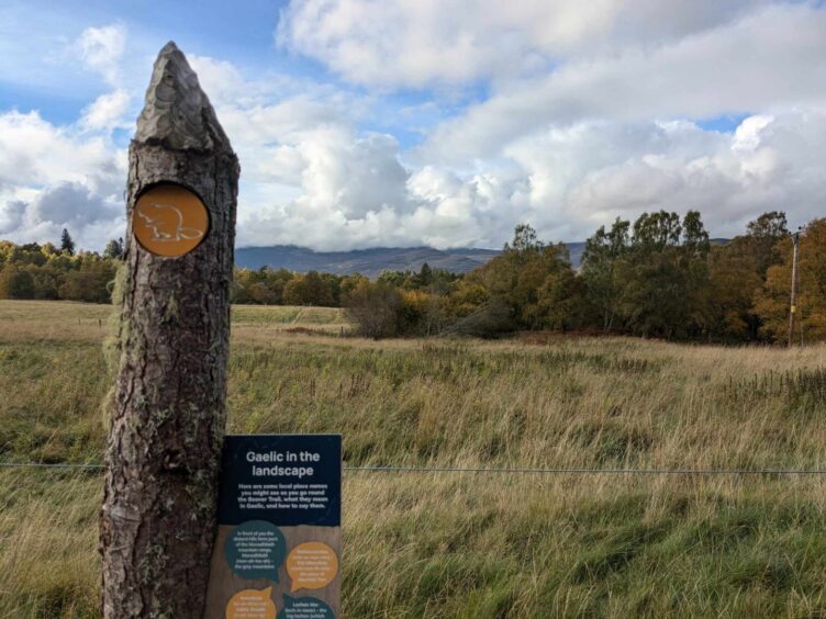 A 'gnawed' wooden sign for the Beaver Trail. Image: Gayle Ritchie.