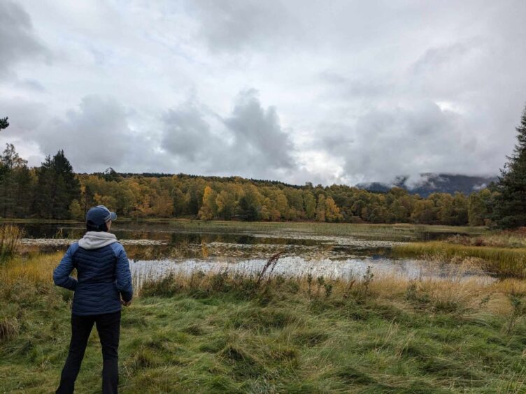 Gayle explores the Beaver Trail at Rothiemurchus and gazes across stunning Lochan Mor. Image: Gayle Ritchie. 