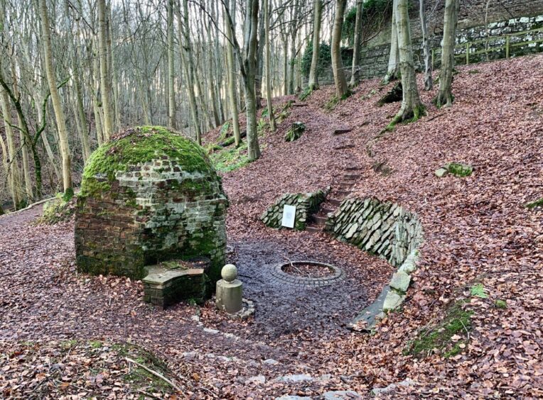 A woodland walk through Dunnottar woods