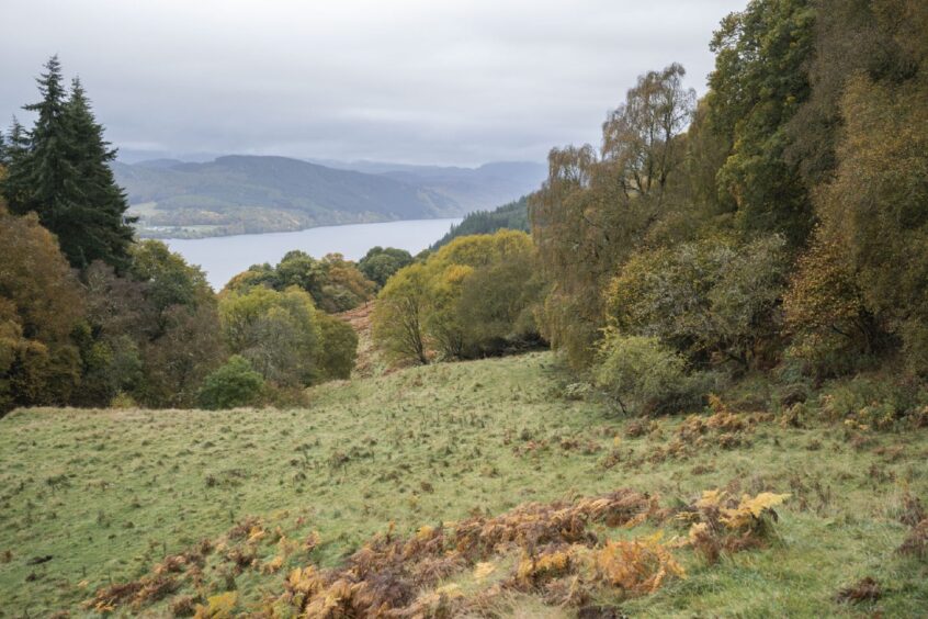 Bunloit Estate on the west shore of Loch Ness.