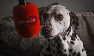 Original 106 microphone and dog Macy.