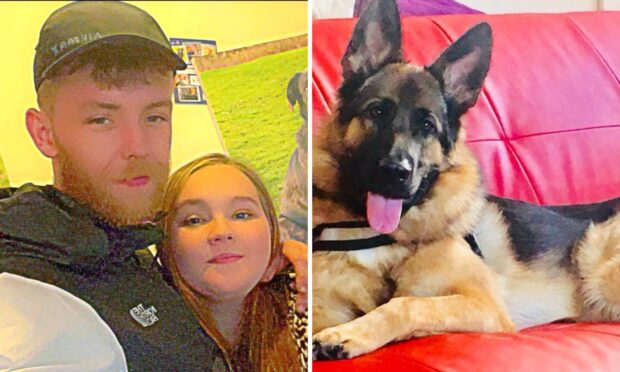 Couple’s dog didn’t eat for up to 3 DAYS before starving to death