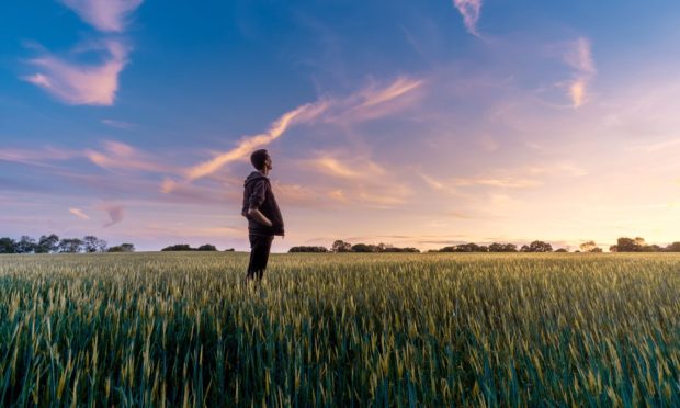 Lonely farmer in a field.