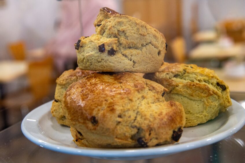 A plate of fruit scones