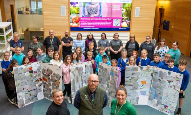 North-east pupils present their innovative ideas for the future of food production at the end of their Stem on the Farm project.