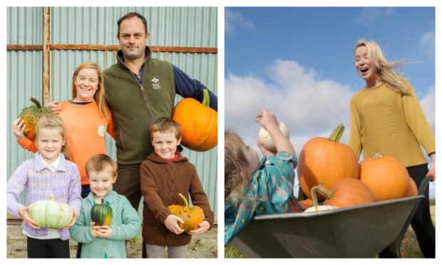 pumpkin patches Highlands