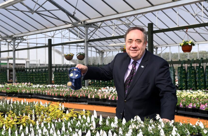 Alex Salmond pictures watering plants at a garden centre in Westhill.