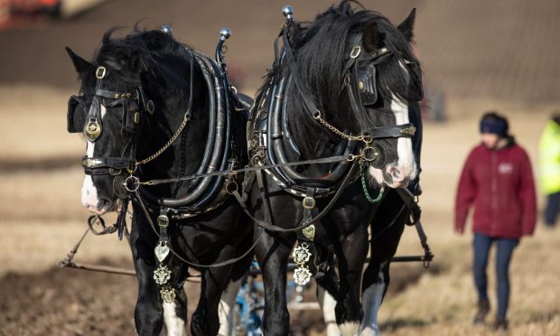 Scottish Ploughing Championships