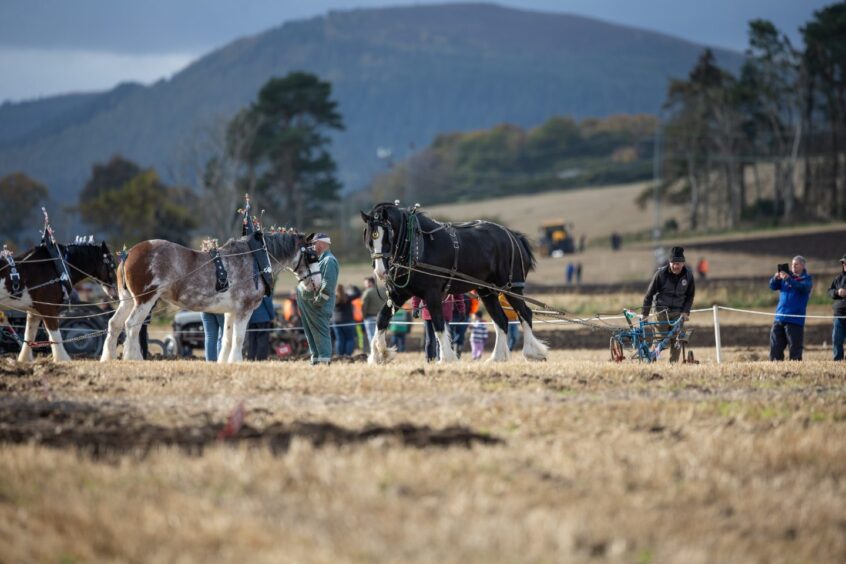 Scottish Ploughing Championships