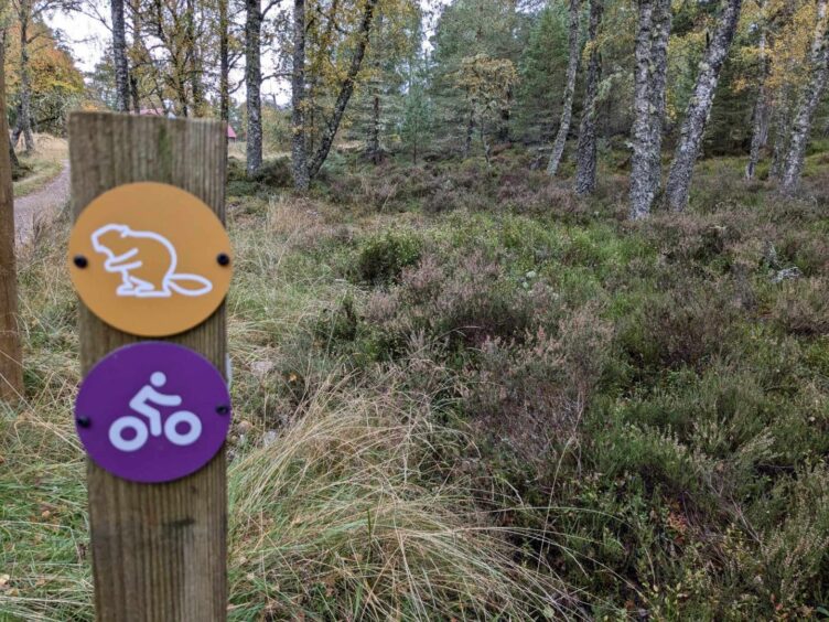 Follow the Beaver Trail. Image: Gayle Ritchie.