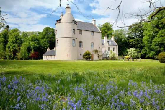 Beldorney Estate has hit the market. Image: Highlands Rewilding.