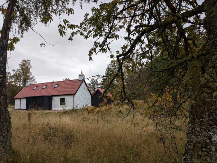 A cute white cottage along the Beaver Trail at Rothiemurchus. Image: Gayle Ritchie.