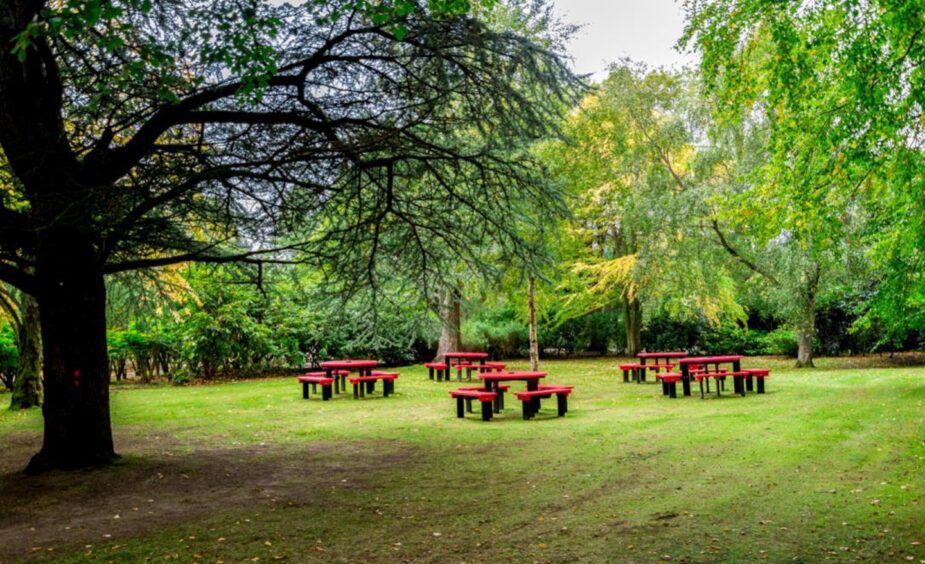 benches at hazlehead park