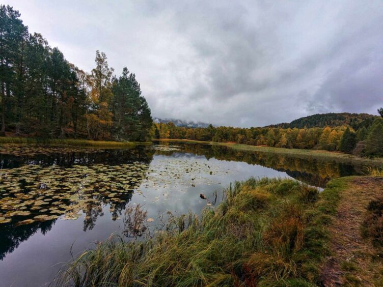 Lochan Mor on the Beaver Trail at Rothiemurchus. Image: Gayle Ritchie.