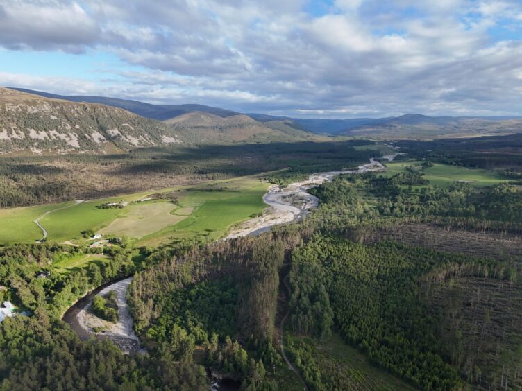 Glen Feshie in the Cairngorms. 