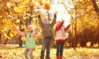 kids playing in leaves