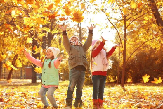 kids playing in leaves