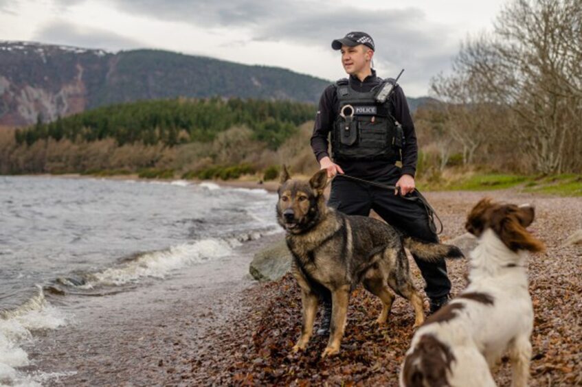 Police officer stands with police dogs on the side of the road with hills in the background.