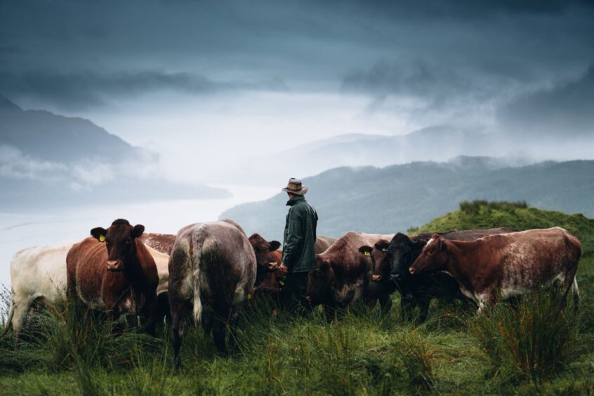 Bruce Duncan on his Stirlingshire Monitor Farm.