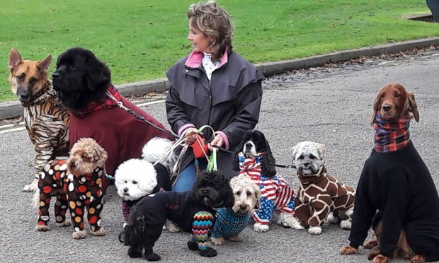 Aileen Toynton with some dog pals all kept clean and dry in their attire from K9 CleanCoats.