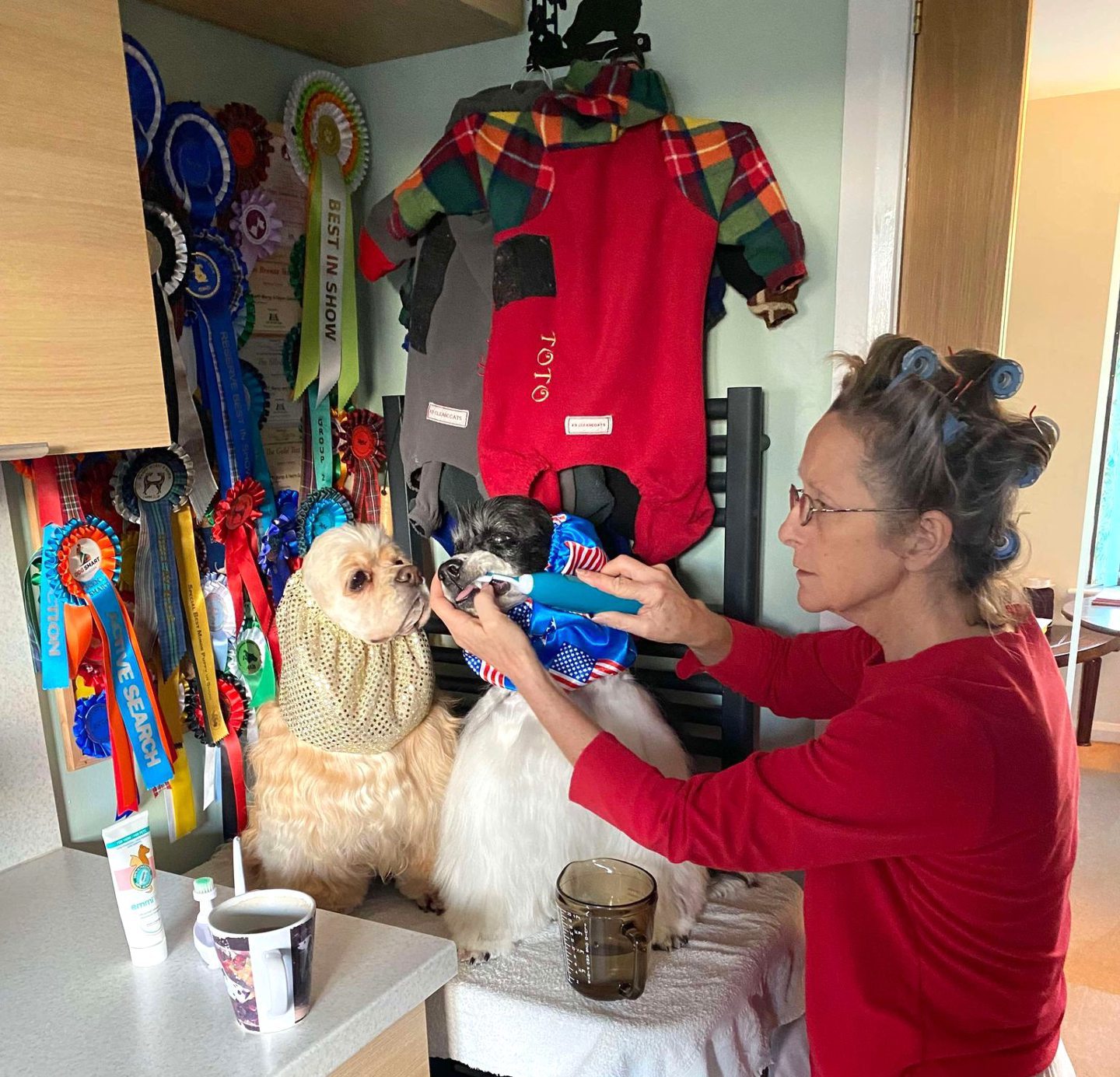 Aileen cleaning Toto's teeth with an ultrasonic toothbrush.