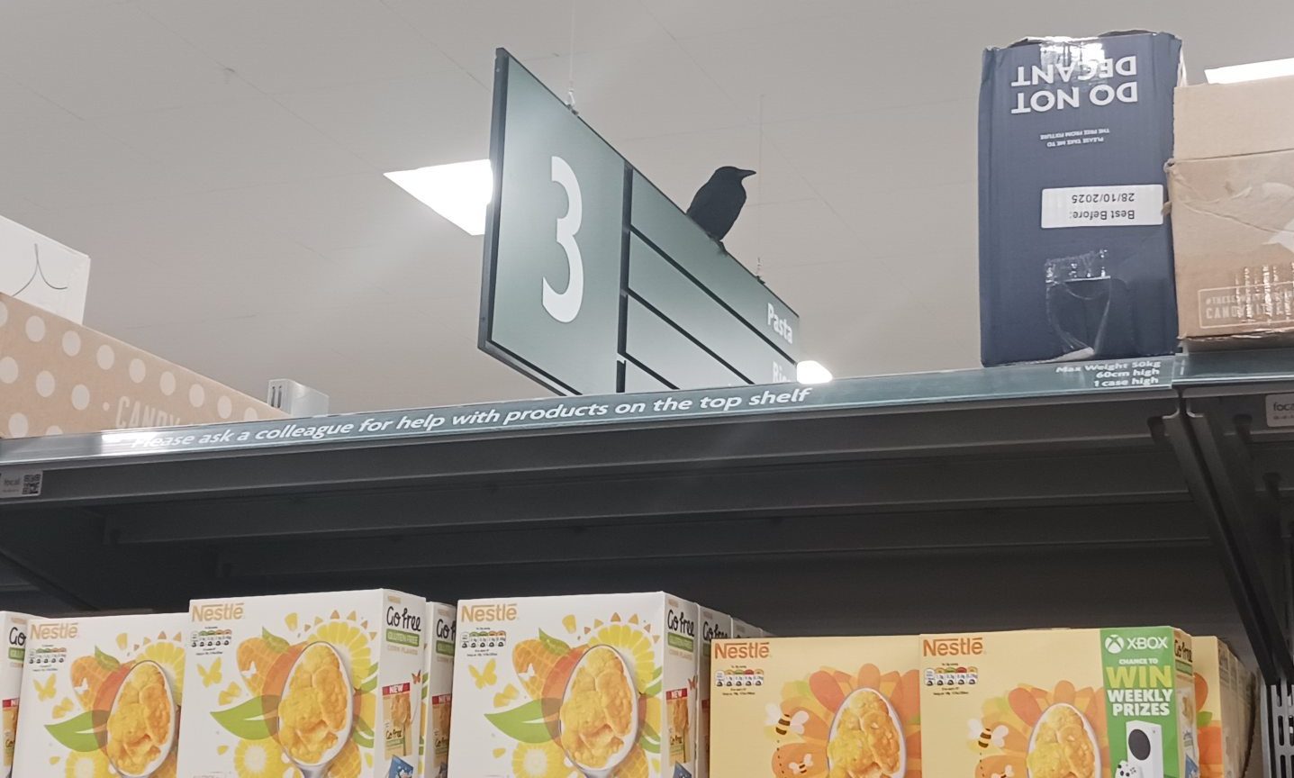 "Russell Crow" at Morrisons in Aberdeen.