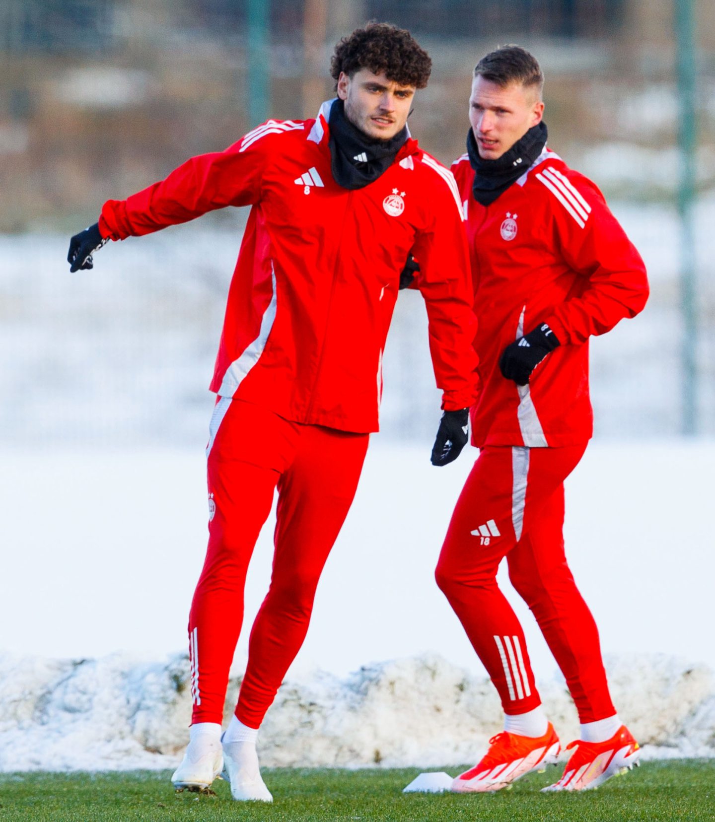 MidfielderDante Polvara during an Aberdeen training session at Cormack Park, on November 22, 2024. Image: SNS 