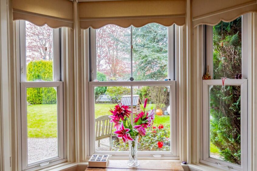 View from window with vase of flowers on windowsill 