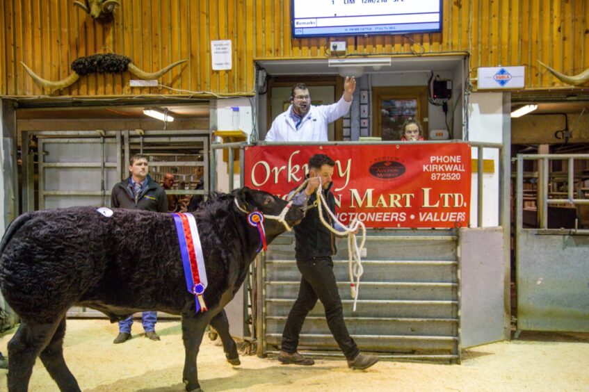 Orkney Auction Mart. 