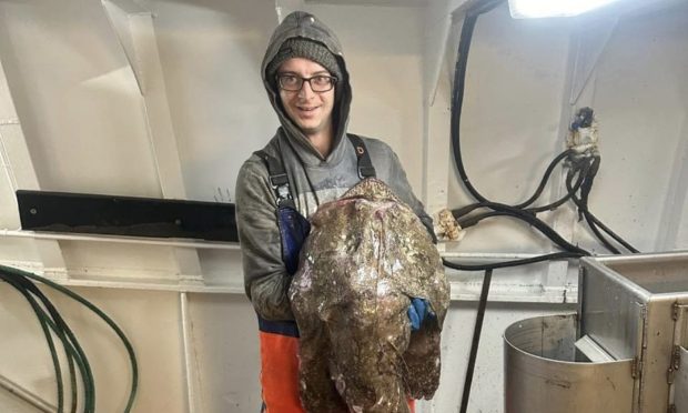 Drunken skipper vandalised fishing vessel in Lochinver Harbour