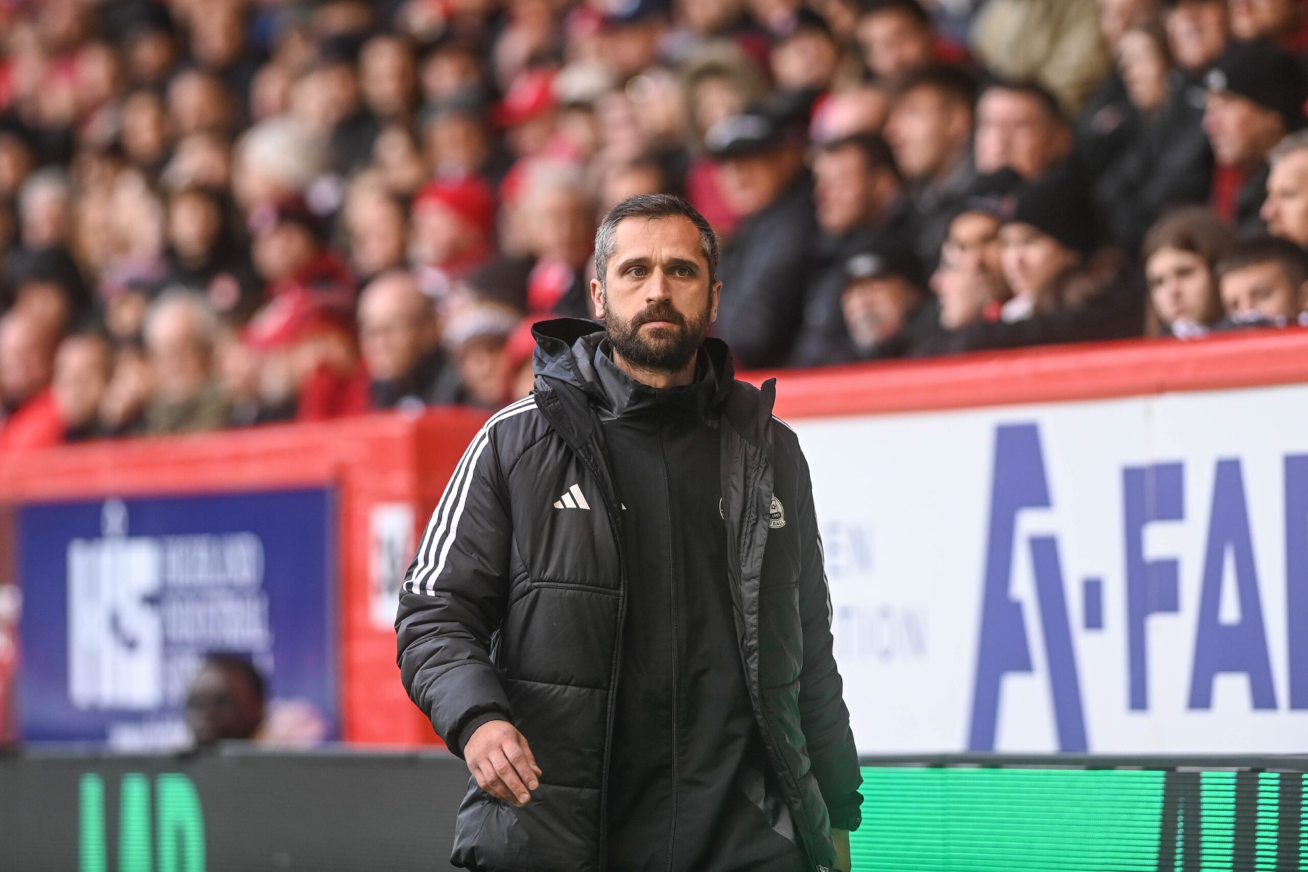 Aberdeen coach Emir Bajrami during the 3-2 win against Hearts. Image: Darrell Benns/DC Thomson.