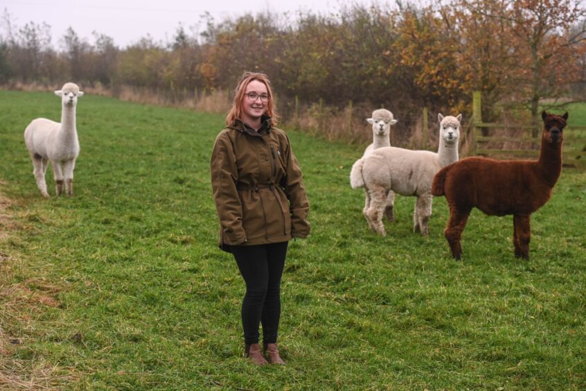 Katie with some woolly friends.