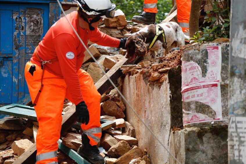 Search and rescue dog Diesel at work with Gary after an earthquake in Nepal.