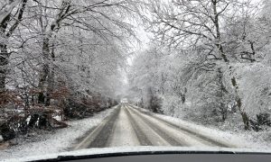 View from the inside of a car driving along a snow covered road lined by trees in Fraserburgh