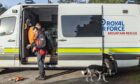 Coastguard, police and RAF search and rescue along with a search dog at Lossiemouth woods this morning.