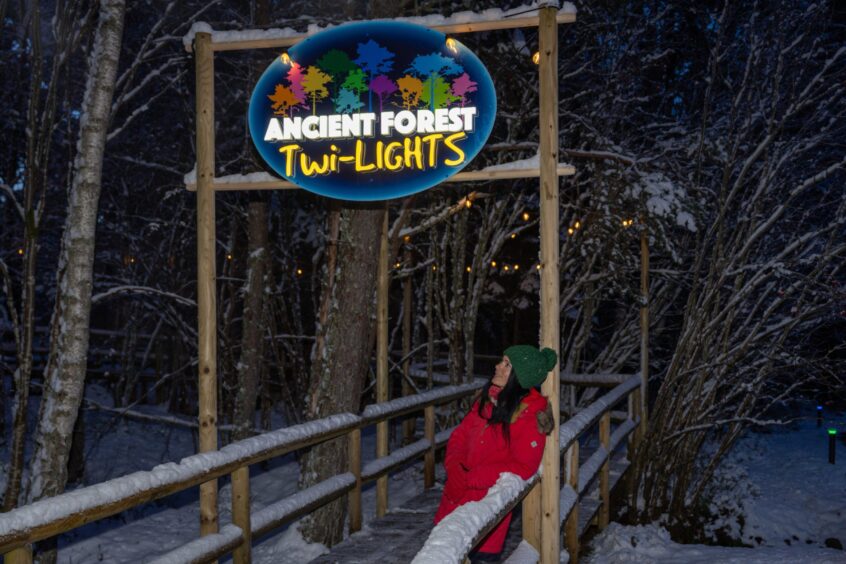 Gayle enjoys the new winter light show at Landmark. Image: Jasperimage.