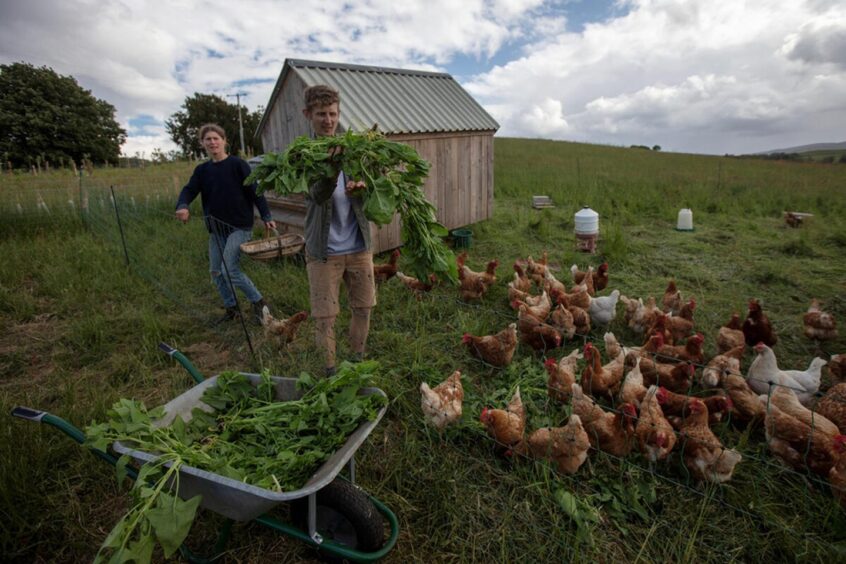 Kirstin and Iain hard at work at Trochry Farm.