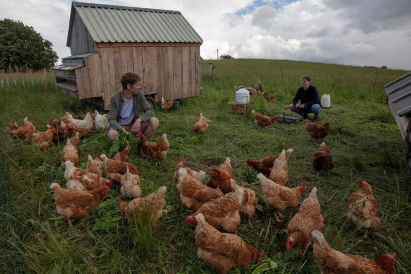 Kirstin and Iain with their chickens.