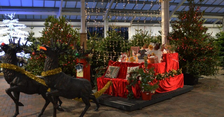 A christmas display at Mains of Drum garden centre in Aberdeenshire