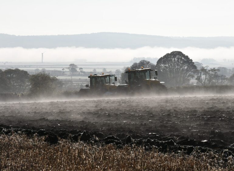 Misty morning scence.