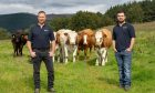 Malcolm and Calum Smith, of Auchernack Farm.