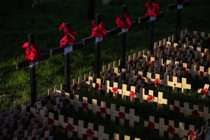 Poppies on graves